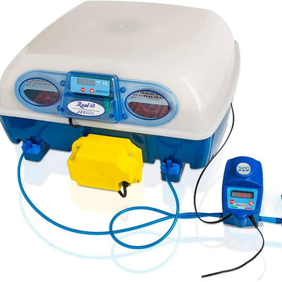 Dove acquistare i prodotti a marchio Borotto