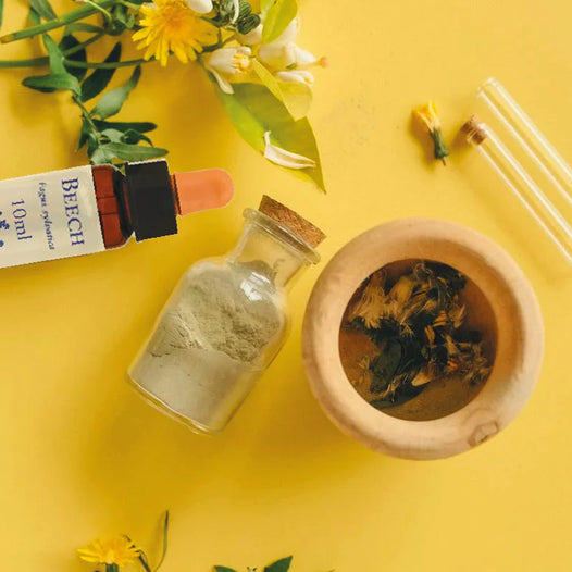 Fiori di Bach: Tipologie, Caratteristiche e Curiosità