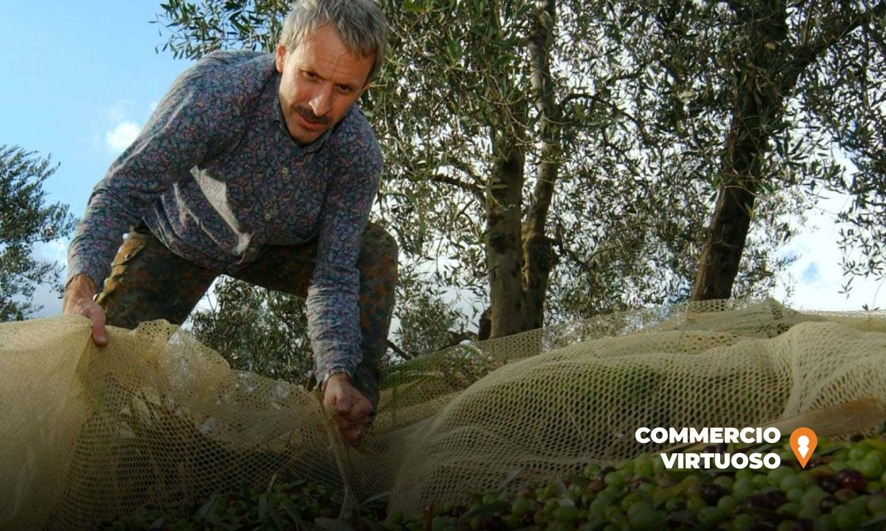 Come distinguere l'olio d'oliva italiano dalle miscele comunitarie