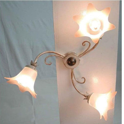 Dove acquistare i prodotti a marchio Cruccolini