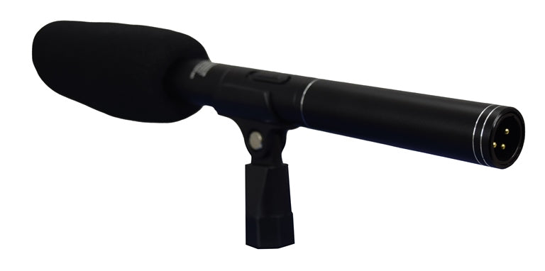 MICROFONO ZOOM CON DOPPIA CAPSULA (DMC 943)