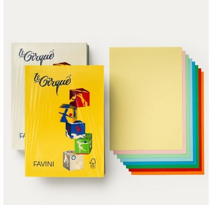 CARTA A4 COLORATA LE CIRQUE 160 GRAMMI COLORI FORTI (100 FOGLI)