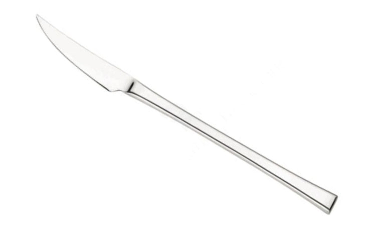 PINTINOX - CONFEZIONE DA 12 PEZZI - COLTELLO DA FRUTTA "CONCEPT" 19,2CM - IN ACCIAIO INOSSIDABILE
