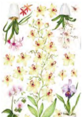 CALAMBOUR - FOGLIO DI CARTA DECOUPAGE "DECO EASY DE 22"
