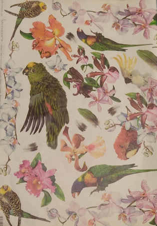 CALAMBOUR - FOGLIO DI CARTA DECOUPAGE "CAL 97" - RAPPRESENTAZIONE PAPPAGALLI E FIORI