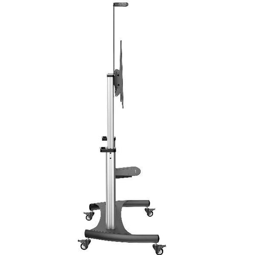 Startech.com mobile tv stand girevole su ruote - carrello porta tv resistente per schermi da 60-100\ (100kg) - supporto tv da pavimento universale con ripiani - STNDMTV100