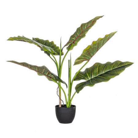Pianta artificiale "Dieffenbachia" in poliestere con vaso per decorazione ambienti