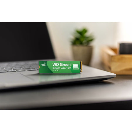 Hard Disk Western Digital WD Green SN3000 1 TB SSD