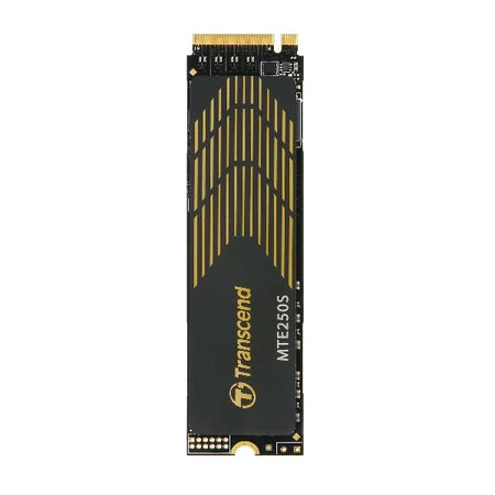 1tb m2 2280 nvme gen4 3d tlc dram - TS1TMTE250S