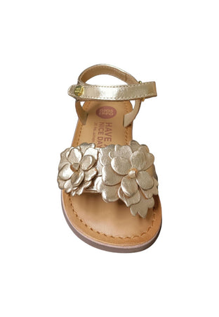 Scarpe sandalo Bambine e ragazze GIOSEPPO SHEGAN