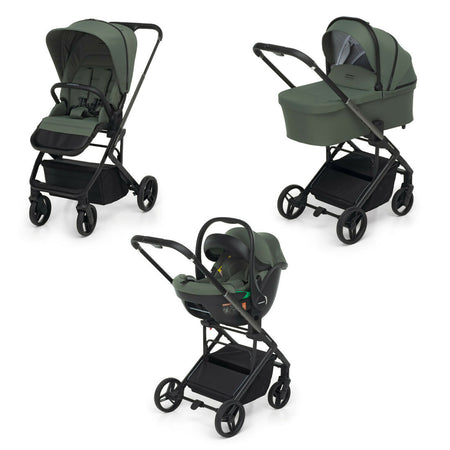 olive1