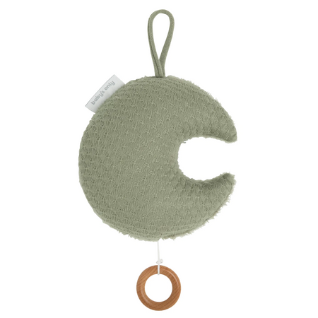 Carillon Moon Sky Baby's Only-Verde
