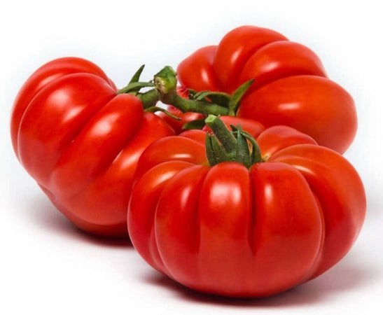 12 pz. Salsa di pomodoro Marmande di Sicilia 33 cl. Cad. Sugo di Pomodoro Artigianale Italiano Prodotto 100% in Sicilia Secollo21
