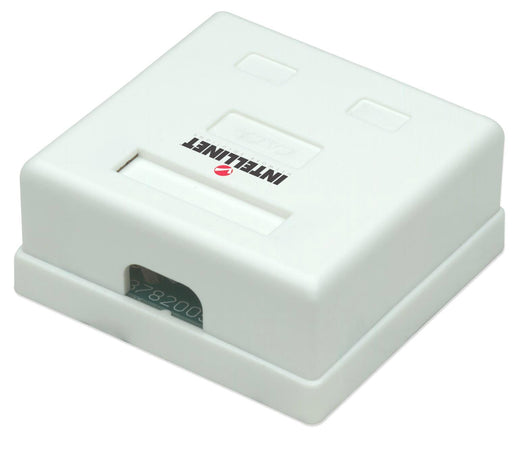 Presa a Muro con 2 Frutti RJ45 Cat. 5E UTP Beige