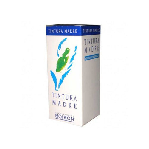 Boldo 60ml tm