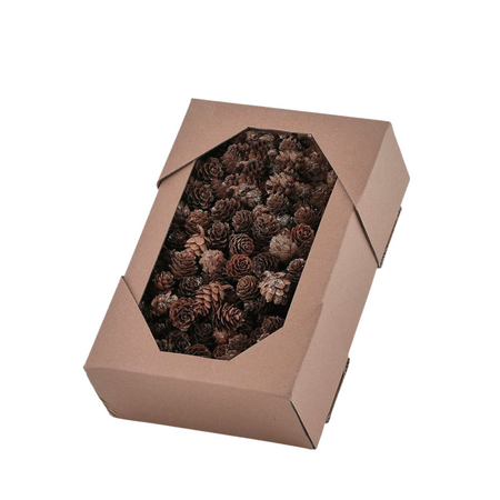 Pigne per albero di Natale "Mugo" 3 cm, confezione da 600 grammi