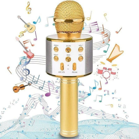 Microfono Speaker Portatile Wireless Bluetooth Karaoke Con Cassa Integrata Gioco