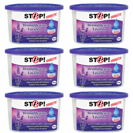 6pz Deumidificatore Casa Portatile 500ml contro Muffa Assorbi Umidità Lavanda