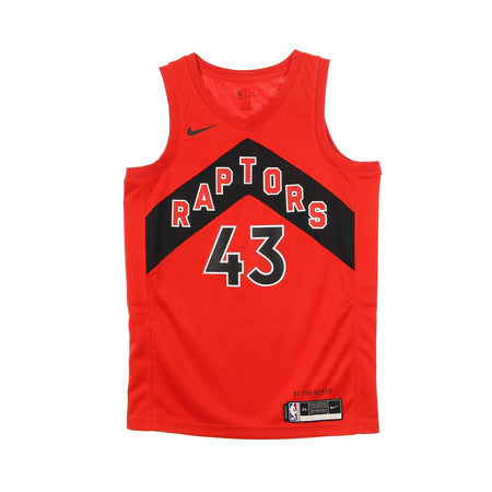 NIKE NBA Canotta Basket Uomo Nba Swingman Jersey Icon Edition 2020 No 43 Pascal Siakam Torrap University Red da uomo
