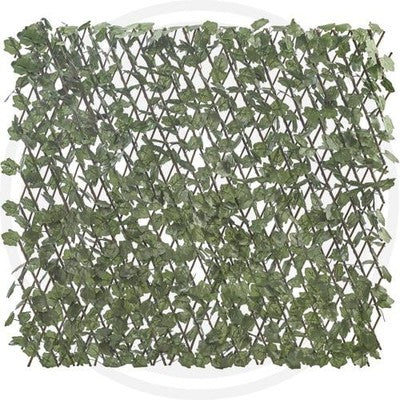 TRALICCIO ESTENSIBILE CON FOGLIE ACERO SALYSBURY MT. 1X2
