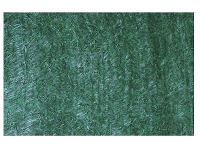 SIEPI SIEPE ARELLA ORNAMENTALI EVERGREEN SCREEN ARREDO GIARDINO OMBREGGIANTE