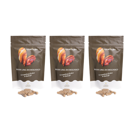 Reishi - Ganoderma Lucidum - Ling Zhi biologico, 90 capsule