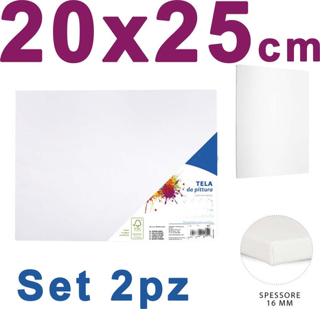 2 Tela Per Dipingere Canvas Rettangolare 20 X 25 Cm Artico Disegno Arte Pittura Casa e cucina/Hobby creativi/Disegno/Tele/Tele intelaiate Trade Shop italia - Napoli, Commerciovirtuoso.it