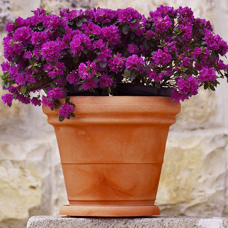 Sottovaso per vaso tondo in resina decorazione per fiori e piante "Made in Italy"