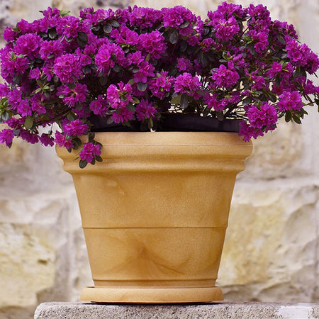 Vaso Doppiobordo Liscio rotondo in resina decorazione per esterno "Made in Italy"