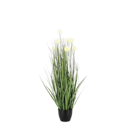 Pianta artificiale "Eriophorum" con fiori bianchi, vaso in plastica nero