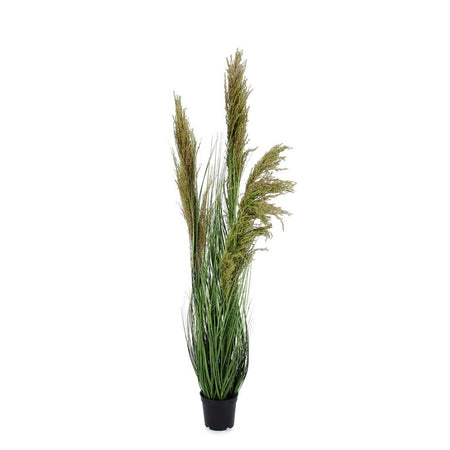 Pianta artificiale "Carine Pampas" verde e marrone, fiore in ciuffi con vaso in plastica