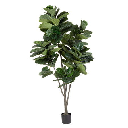 Pianta artificiale "Ficus Lyrata" con vaso in plastica nero, con foglie in gomma