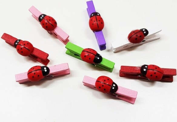 24-Molletta-Mollettina-2.5mm-Coccinella-In-Legno-Colorate-Bomboniere-Compleanno