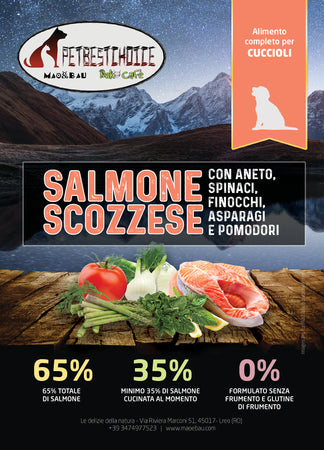 PETBESTCHOICE GRAINFREE Cucciolo SALMONE SCOZZESE 65% & 5 SUPERFOOD