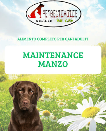 PETBESTCHOICE Mantenimento Adult Manzo