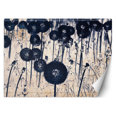 Carta Da Parati, Dente di leone monocromatico su tavola