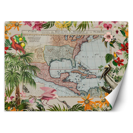 Carta Da Parati, Mappa del mondo Foglie di giungla