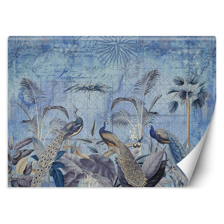 Carta Da Parati, Pavoni ai tropici blu