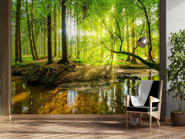 Carta Da Parati, Ruscello nella foresta all'alba Natura