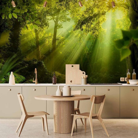 Fotomurale Nella foresta misteriosa