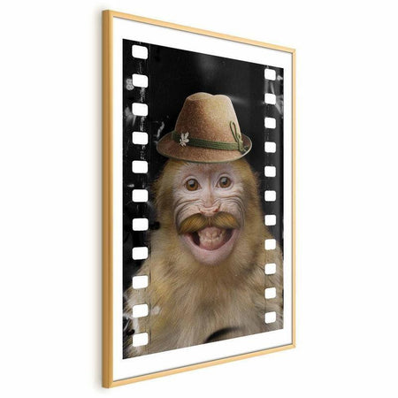 Poster - Monkey in a Hat