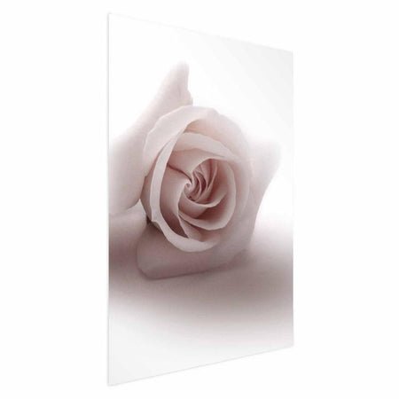 Poster - Rose Shadow