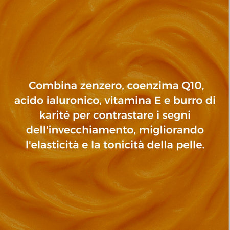 Crema Viso Antirughe con Curcuma e Vitamina E – Idratante e Rigenerante con Burro di Karité – Per Pelle Secca e Grassa – Antiage, Nutriente – 50ml – Antiage Curcuma Z-Skin