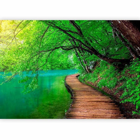 Fotomurale Green peace