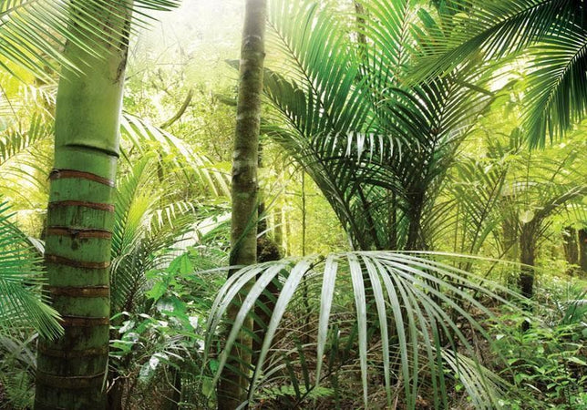 Fotomurale Green alley