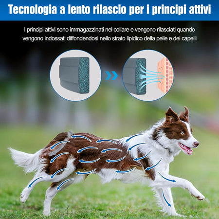 COLLARE ANTIPRASSITARIO CANE