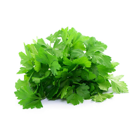 Semi prezzemolo gigante di napoli sementi italiano aromatiche piante gr 10