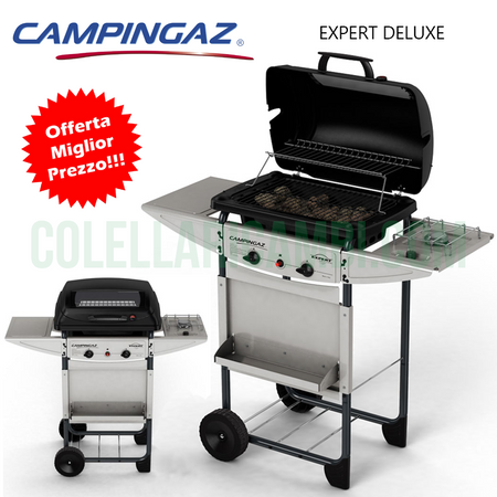 Campingaz - Bombola Gas Aggiuntiva con Valvola per Piani Cottura a Gas - CV470 Plus, 450 cc - 203085