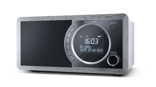 Sharp dr-450 personale digitale grigio, acciaio inox - SHADR450GR