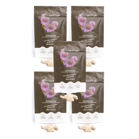 Echinacea Purpurea biologica, 90 capsule